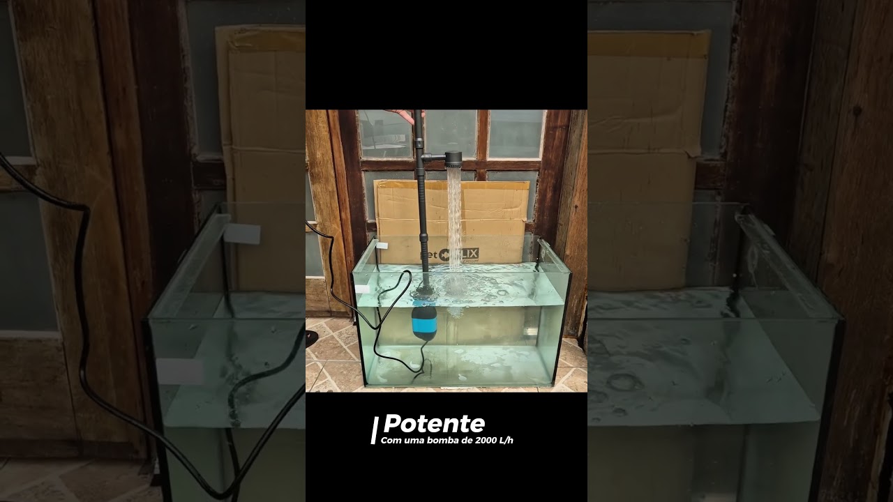 TESTE DO SIFÃO ELÉTRICO PET FLIX WC-30 - Parte I 