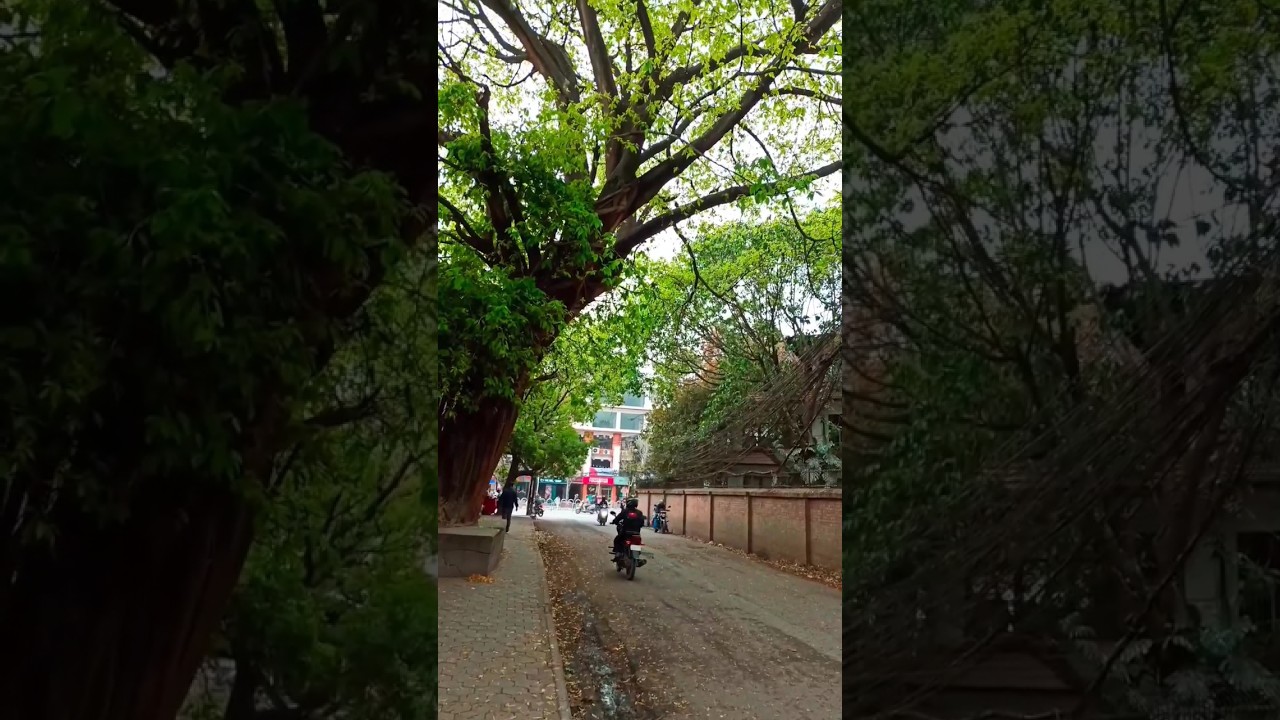 Weather | ByRushCreations