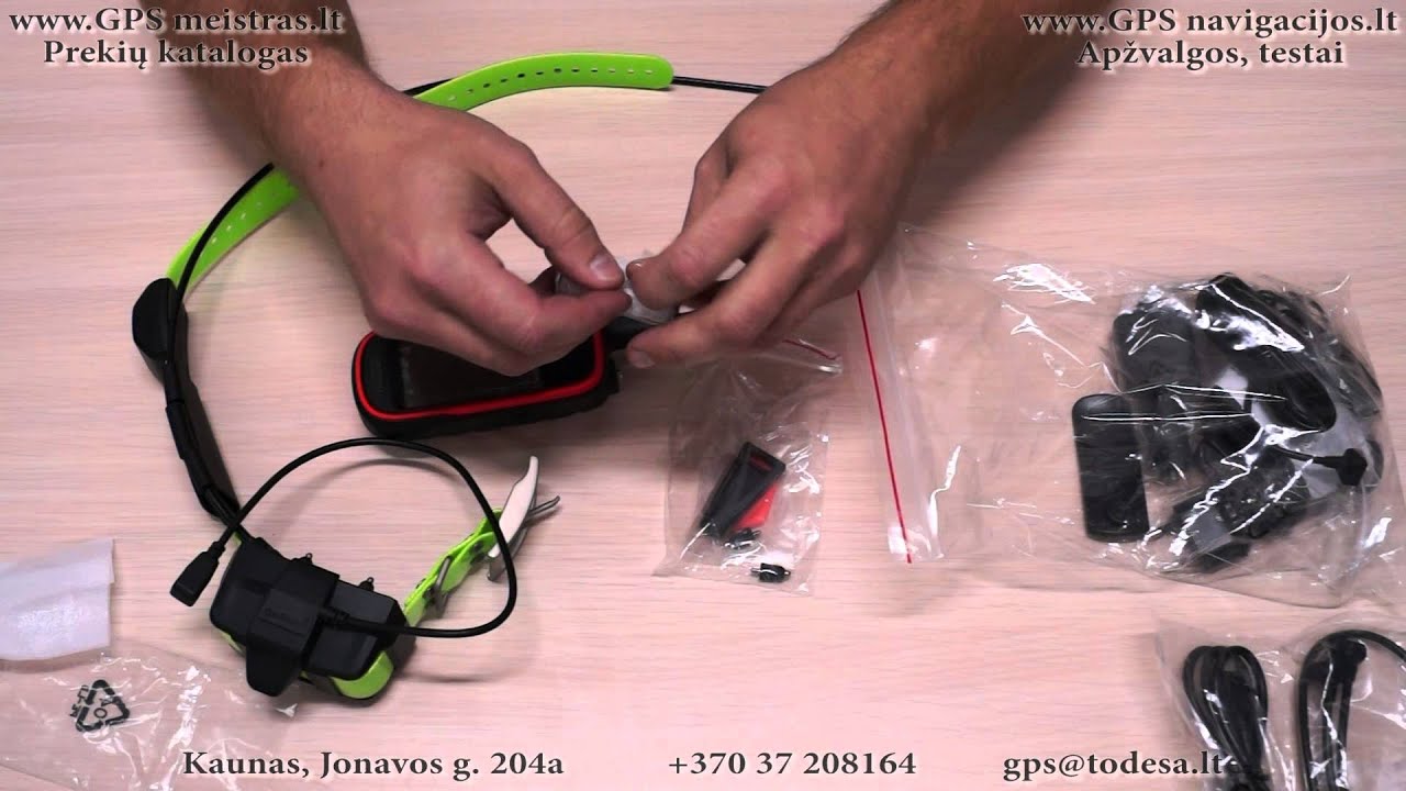 Garmin Alpha 100 kartu su šuns antkakliu TT 15