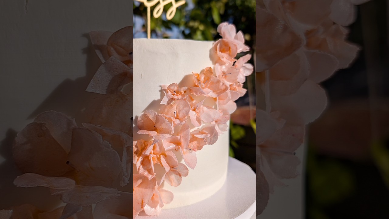 ✨🌺 WAFER PAPER FLOWER TUTORIAL 🌺✨ #waferpaper #cake #tutorial