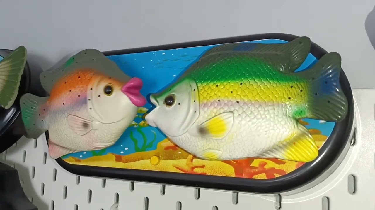 Singing fish Compination 15 sub special