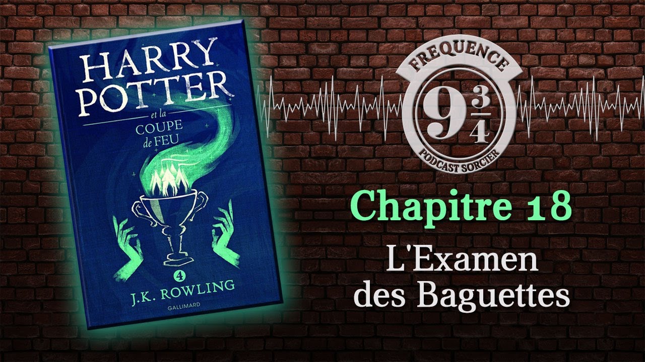 L'Examen des Baguettes (Harry Potter 4, chapitre 18)