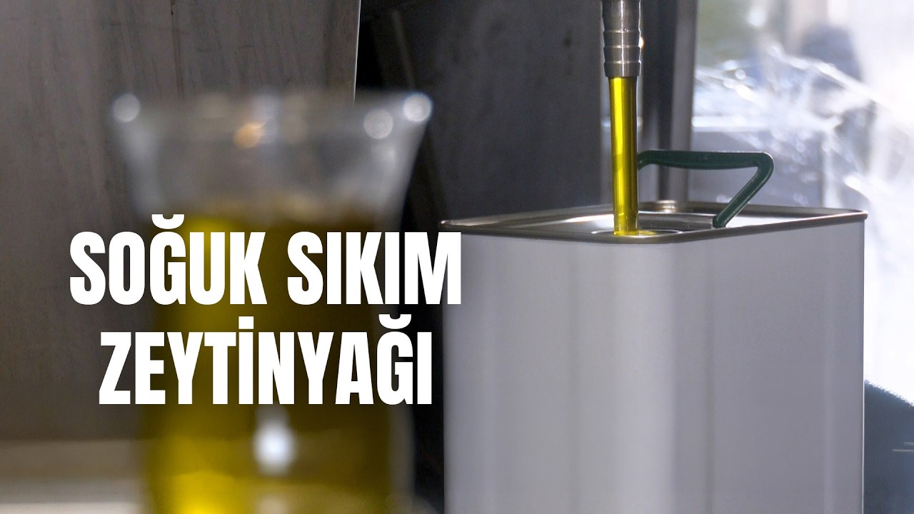 Taş Baskı Zeytinyağı Nasıl Yapılır? 250 Yıllık Sır #zeytinyağı #tarif #belgesel #izmir