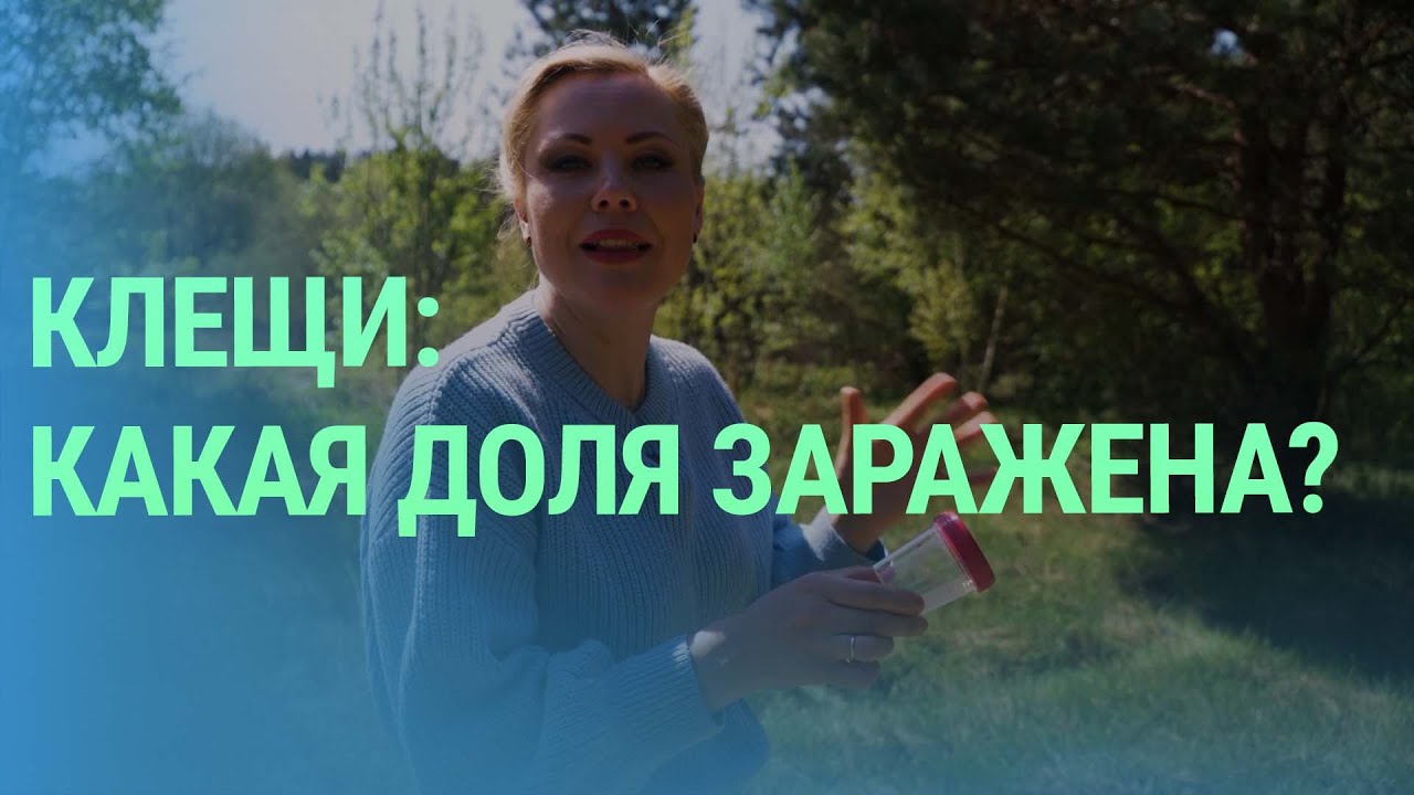 Где больше всего встречаются клещи и как много из них заражены опасными болезнями