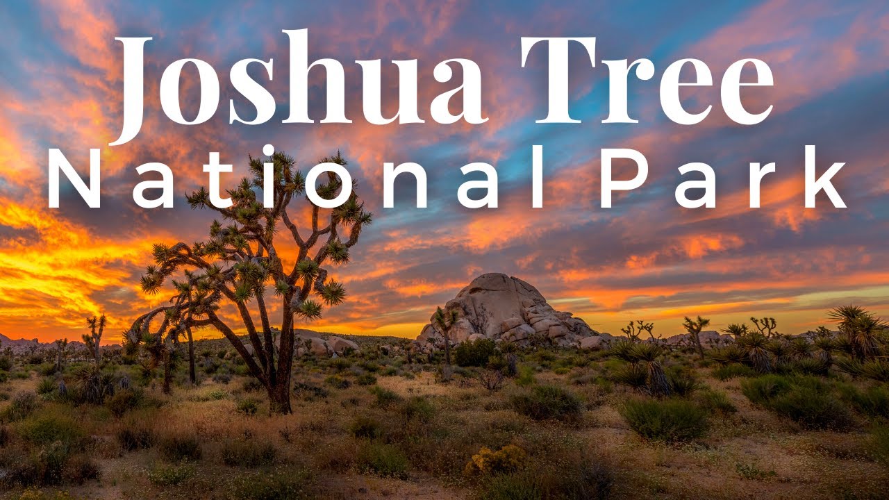 The 12 BEST Things To Do In Joshua Tree National Park
