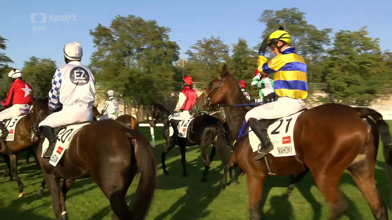 Velká Pardubická 2019 [HD] ze Sparta Pojišťovnou