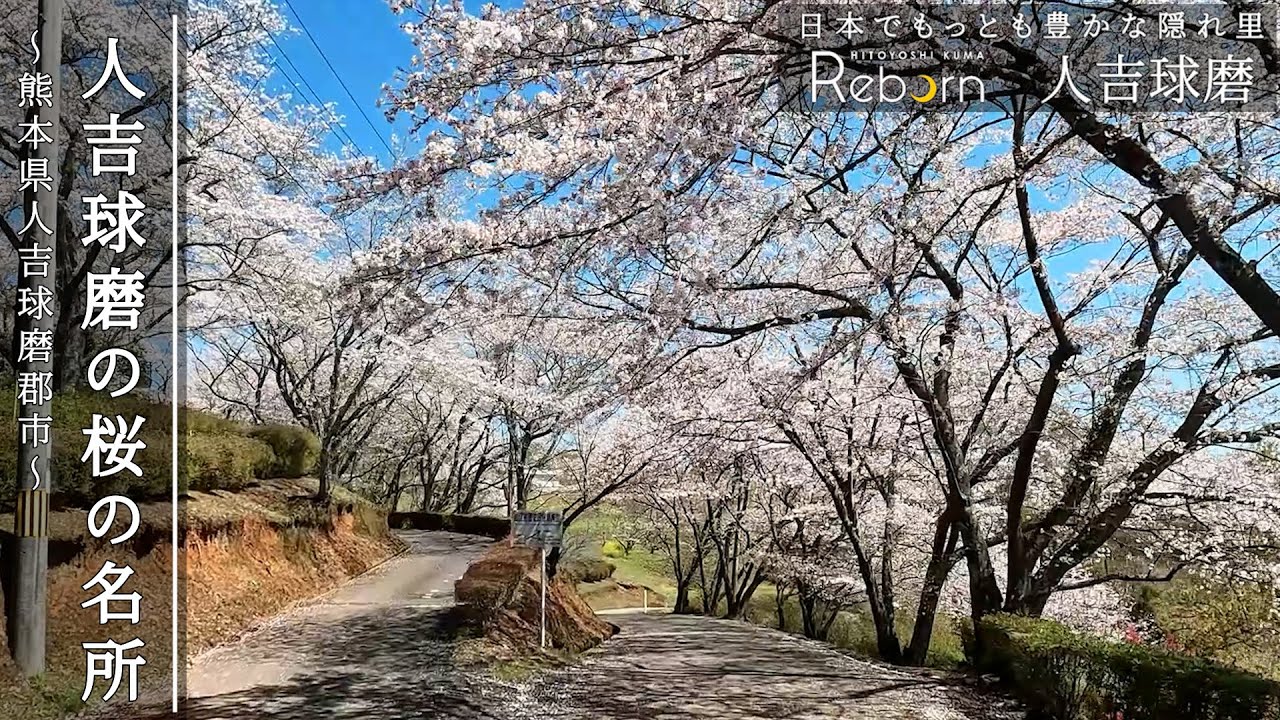 『人吉球磨の桜の名所』
