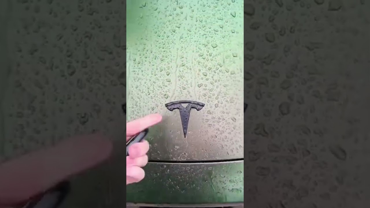 I got pulled over for a loud engine 😭 #shorts #modely #tesla #teslaflex