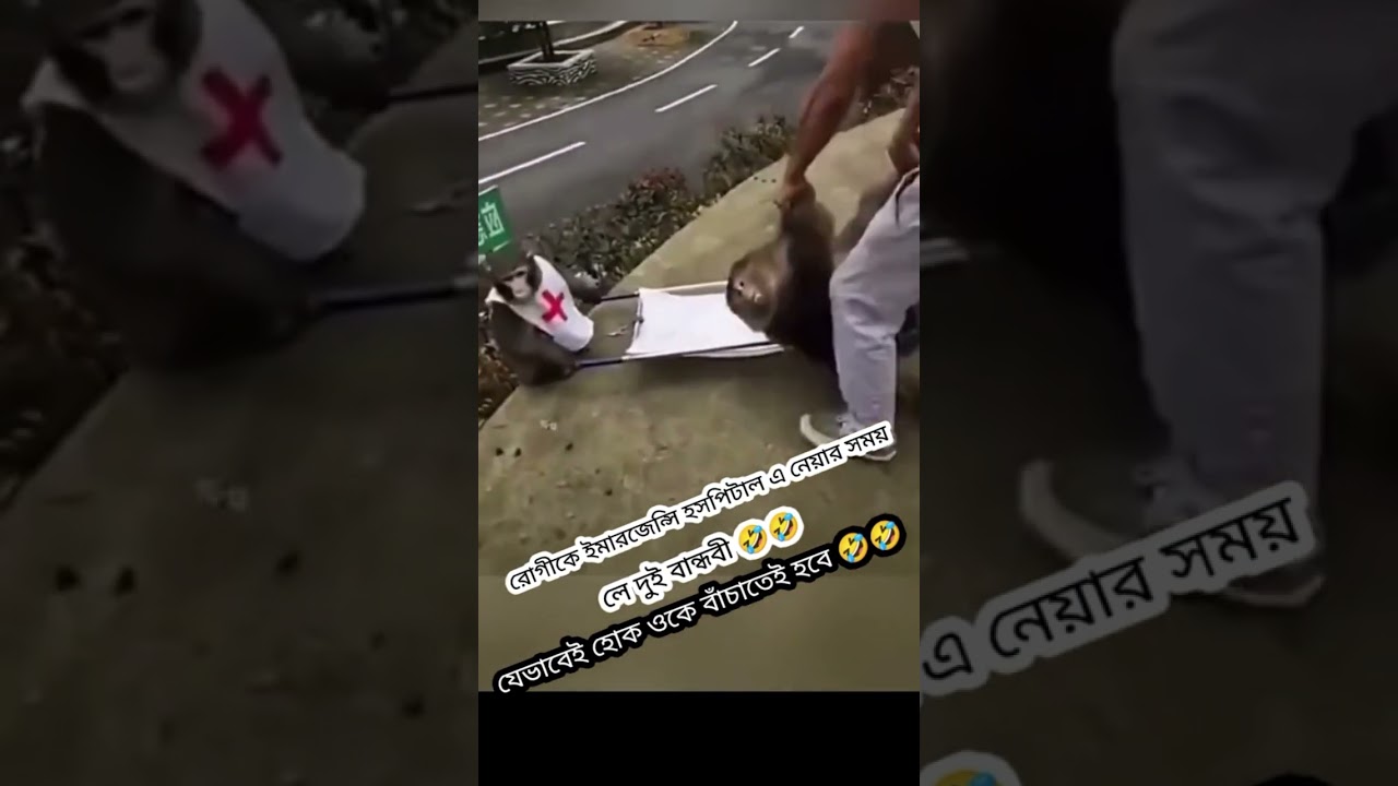 amader desher emergency service ar moto