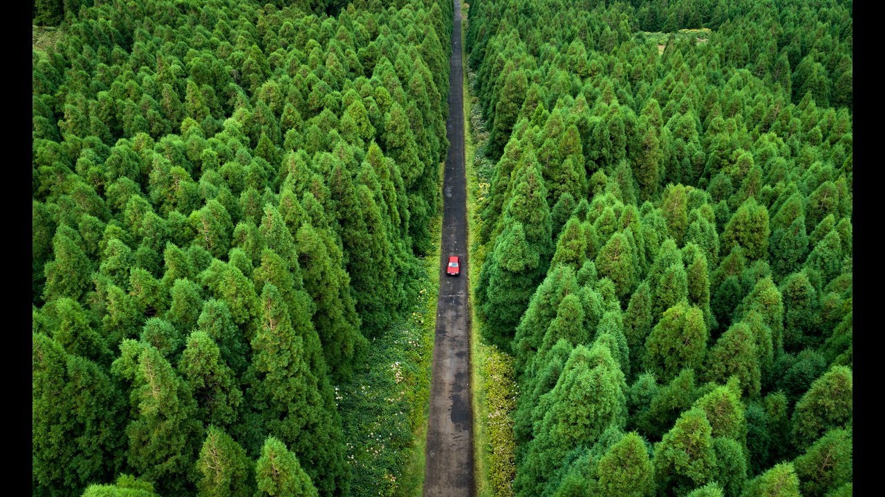 Azores GREEN