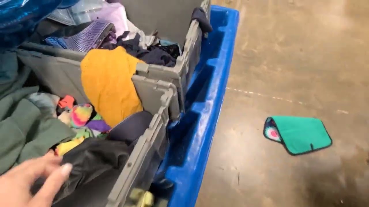 weird things at the Goodwill bins