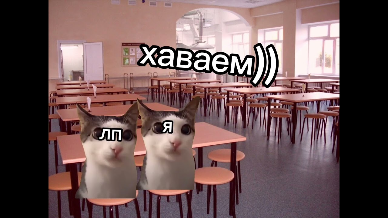 Мой обычный вторник