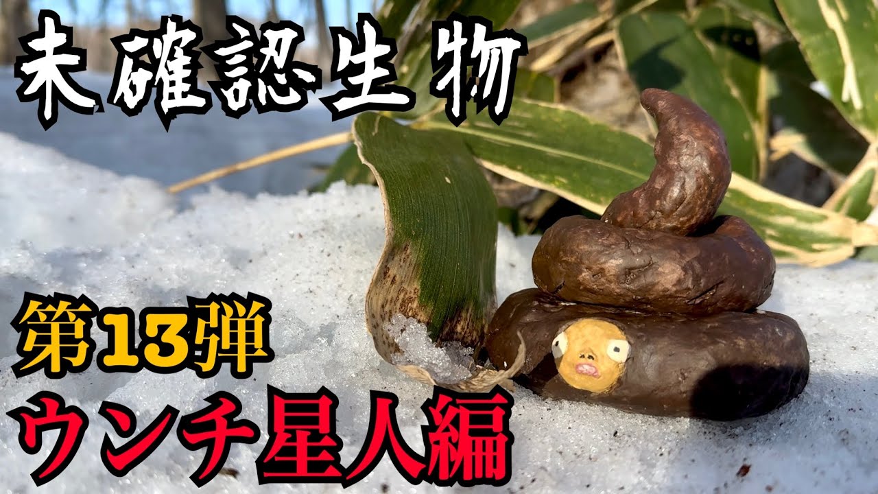 【未確認生物】ウンチ星人見つけるまで帰れま10！！！
