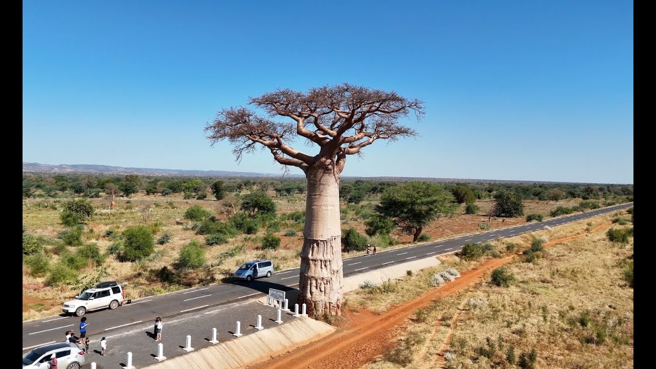 Un voyage gravé où nos âmes se souviennent - Le chant des routes