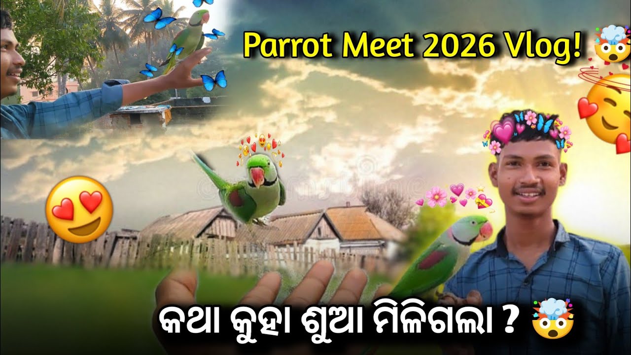 Parrot Meet 2026 Vlog! 🤯 | କଥା କୁହା ଶୁଆ ମିଳିଗଲା ? #newvlog #hype #odiavlog 