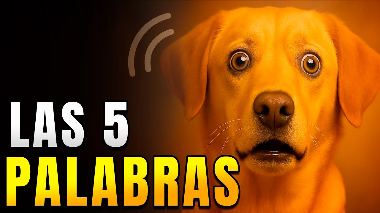 ¿Qué palabras ENTIENDE realmente tu perro? (La sorprendente verdad)