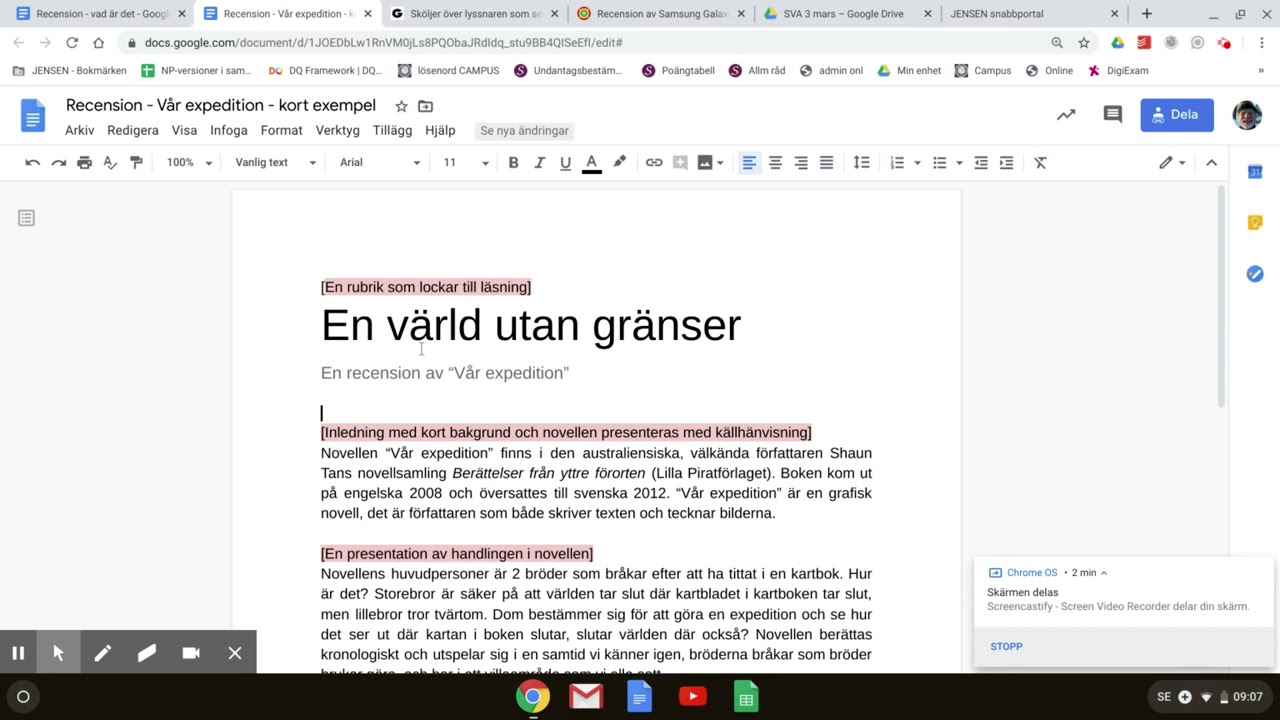 En recension  - vad är det