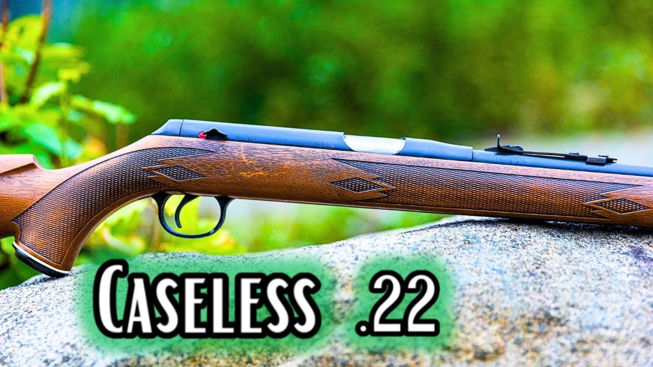 Air Rifle OR Gun Powder? Daisy VL