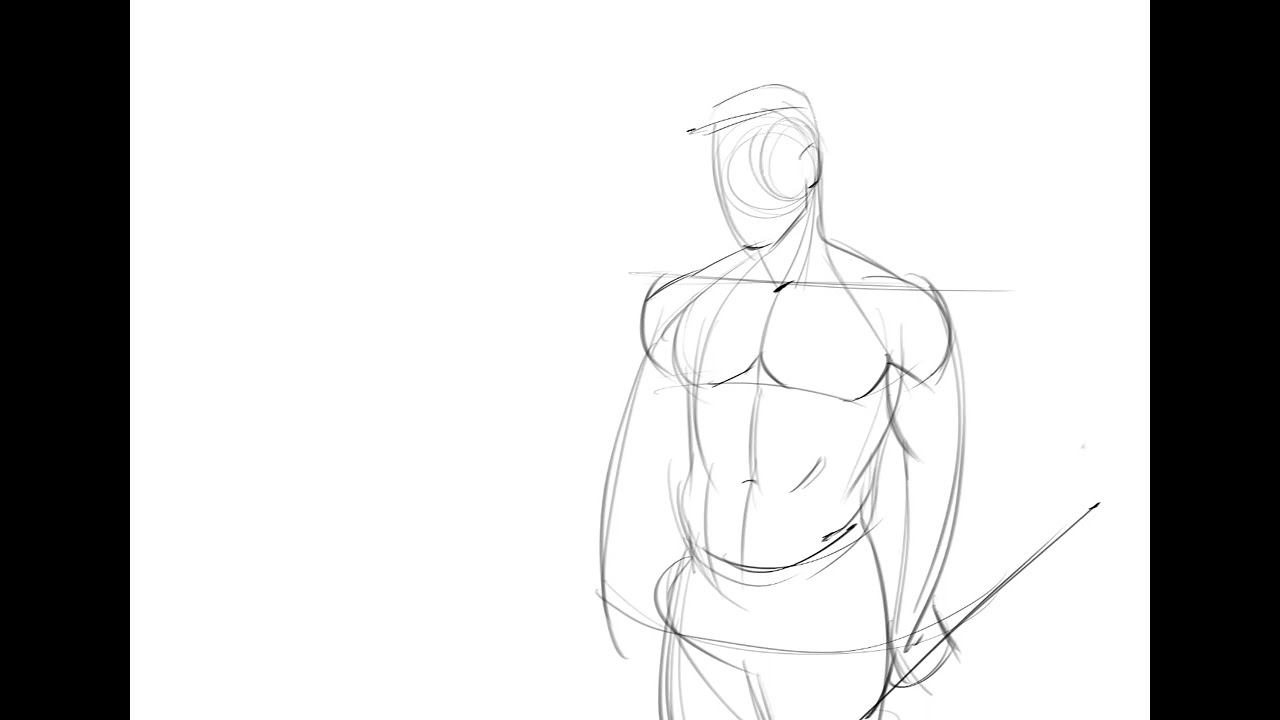 Male Torso