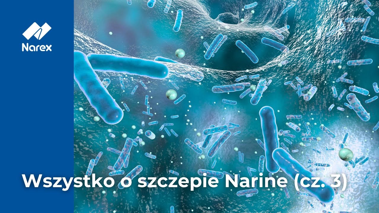 Wszystko o szczepie Narine, cz. 3: Jak zrobić jogurt • Narex