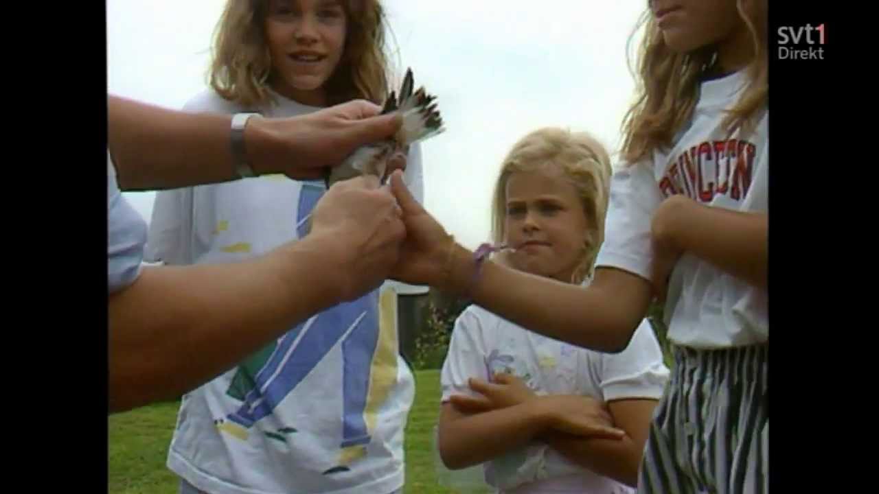 Prinsessbröllopet 2013 - Återblick på prinsessan Madeleines liv