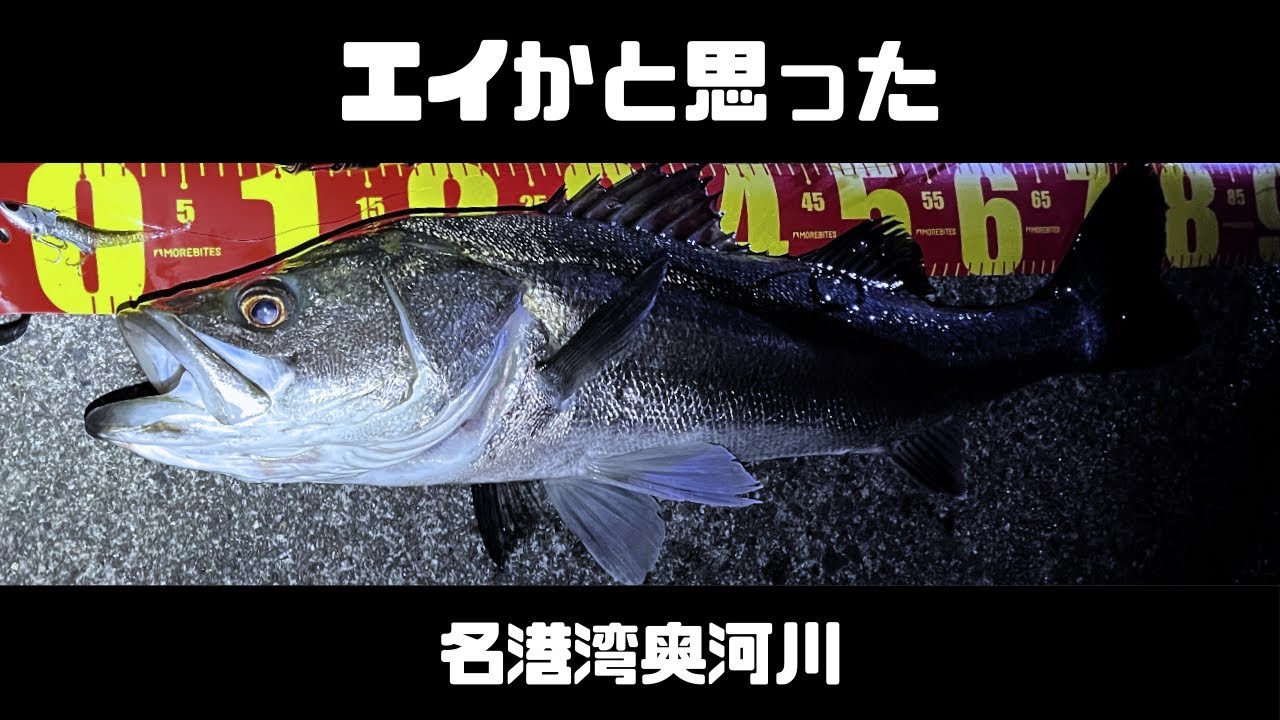 名古屋ランカーシーバス　名港湾奥河川　IJ16のスレ