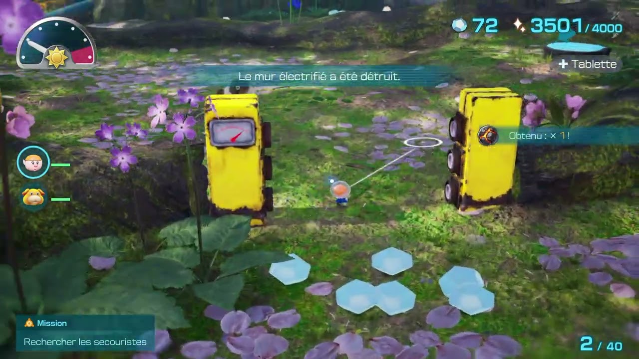 Pikmin 4 100%