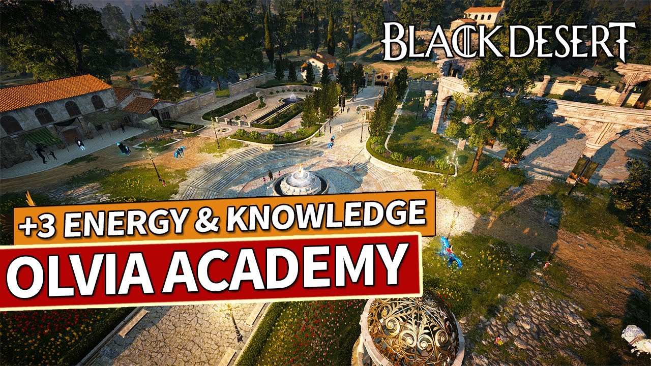 Black Desert Olvia Academy Quests & Knowledge for 4 Energy Guide