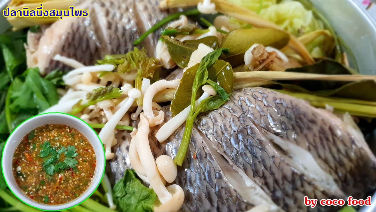 ปลานิลนึ่งสมุนไพร ยุคนี้ ไม่มีอะไรดีไปกว่ากินอาหารเป็นยา กินสมุนไพรไทยๆ ทำเป็นอาหารให้คนในบ้าน