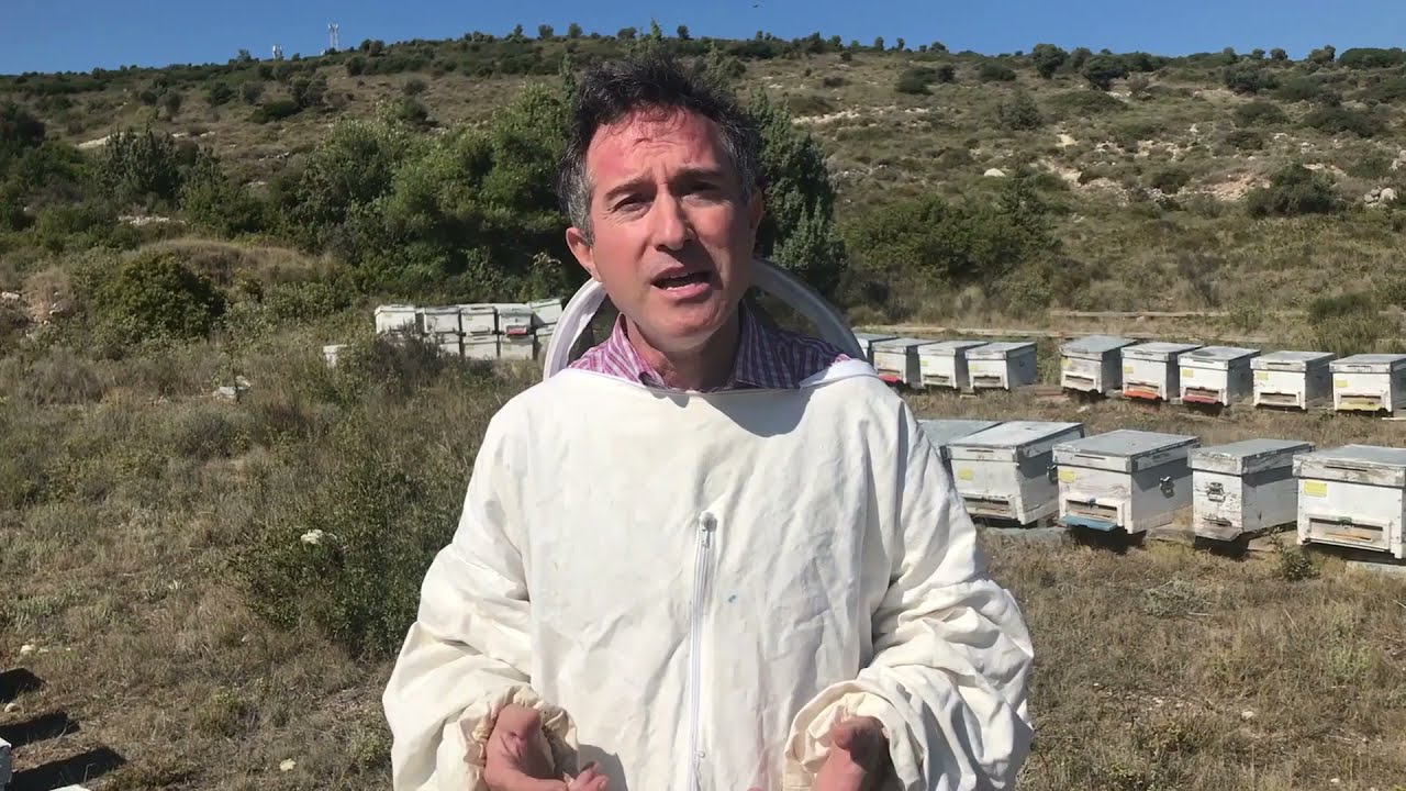 Propolisin Faydaları. Dr. Ömür UYGUR