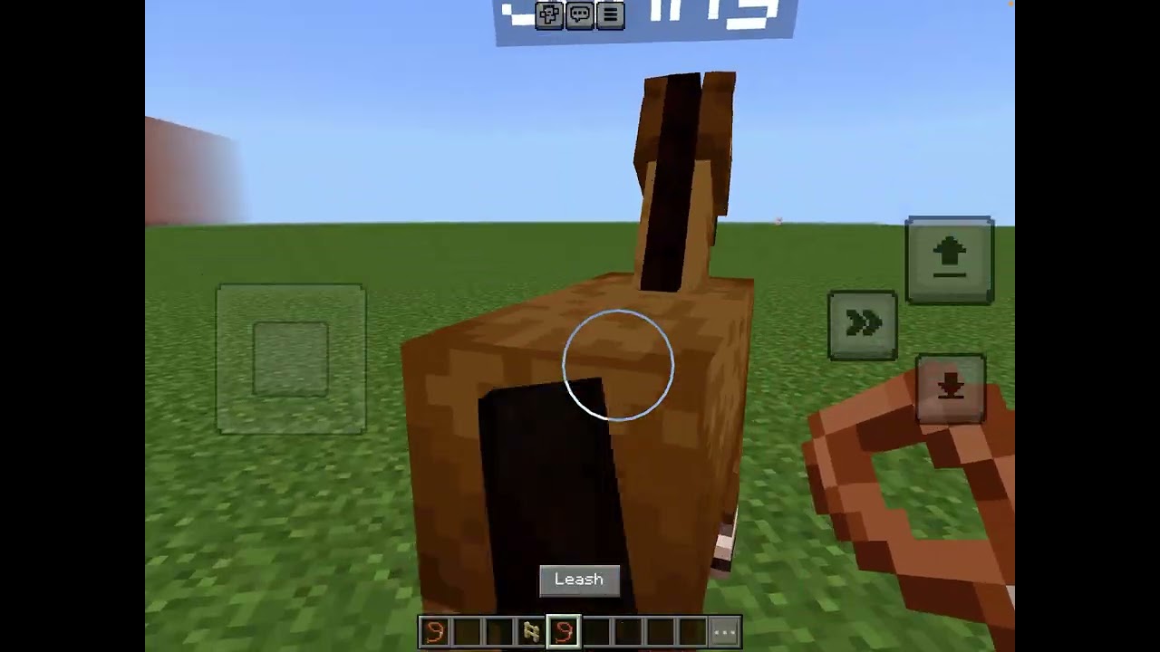 The mc  zoo horses are being chaotic (good thing the zoo is fishys chaos zoo xD) @lilymoondeep4522 