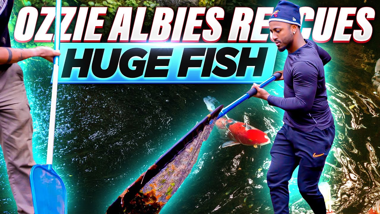 Ozzie Albies Rescues HUGE fish on his off season!
