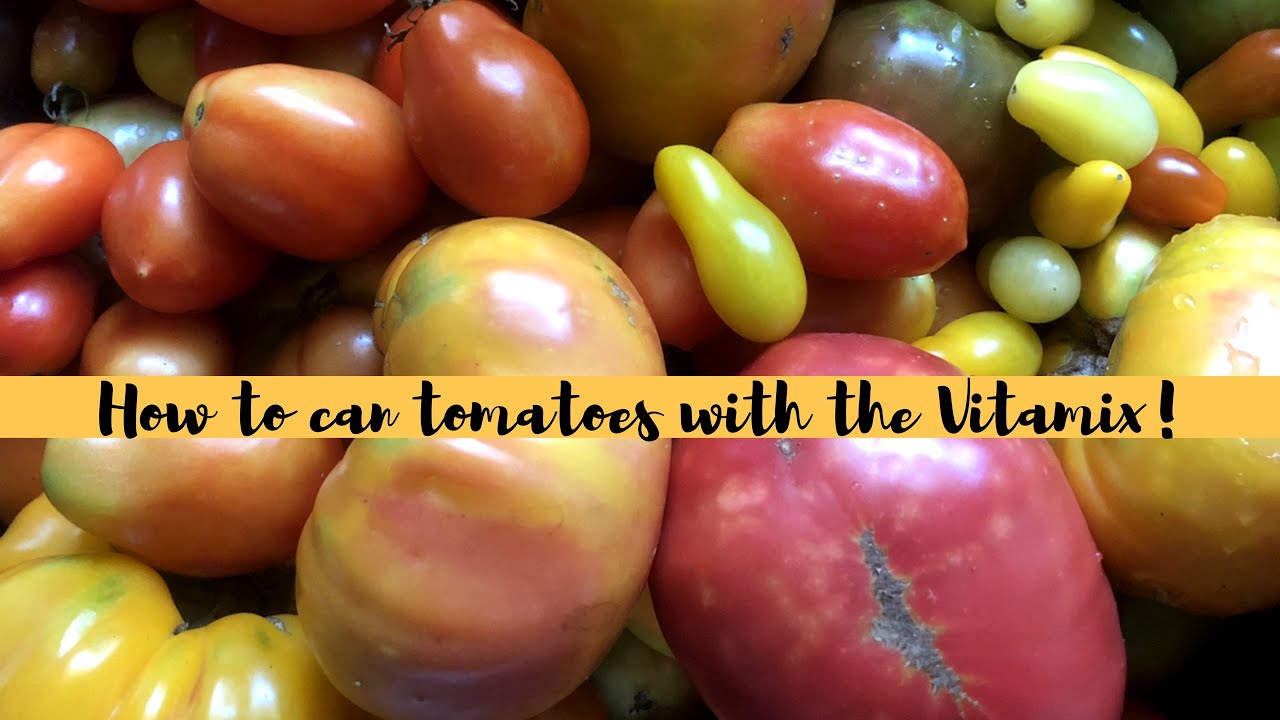 How to can tomatoes with the Vitamix! | Easy way to can tomatoes!
