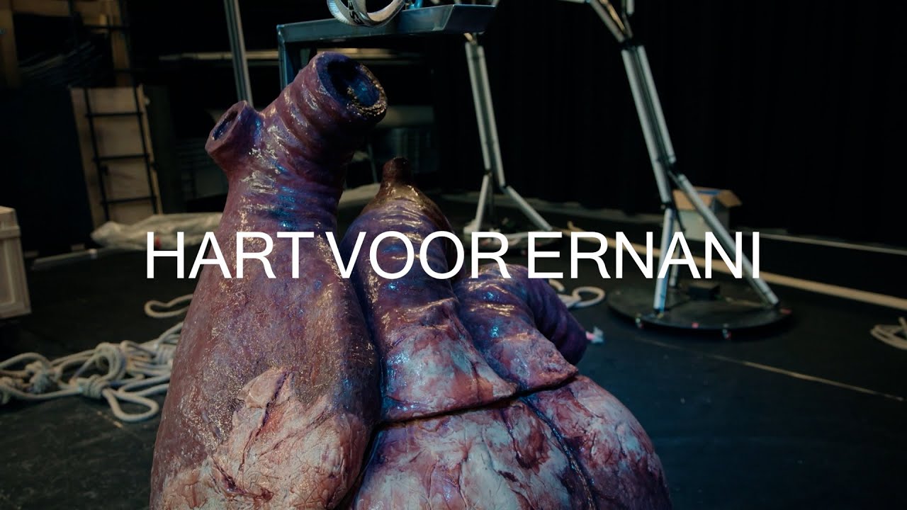Hart voor Ernani met ZNA en GZA Ziekenhuizen