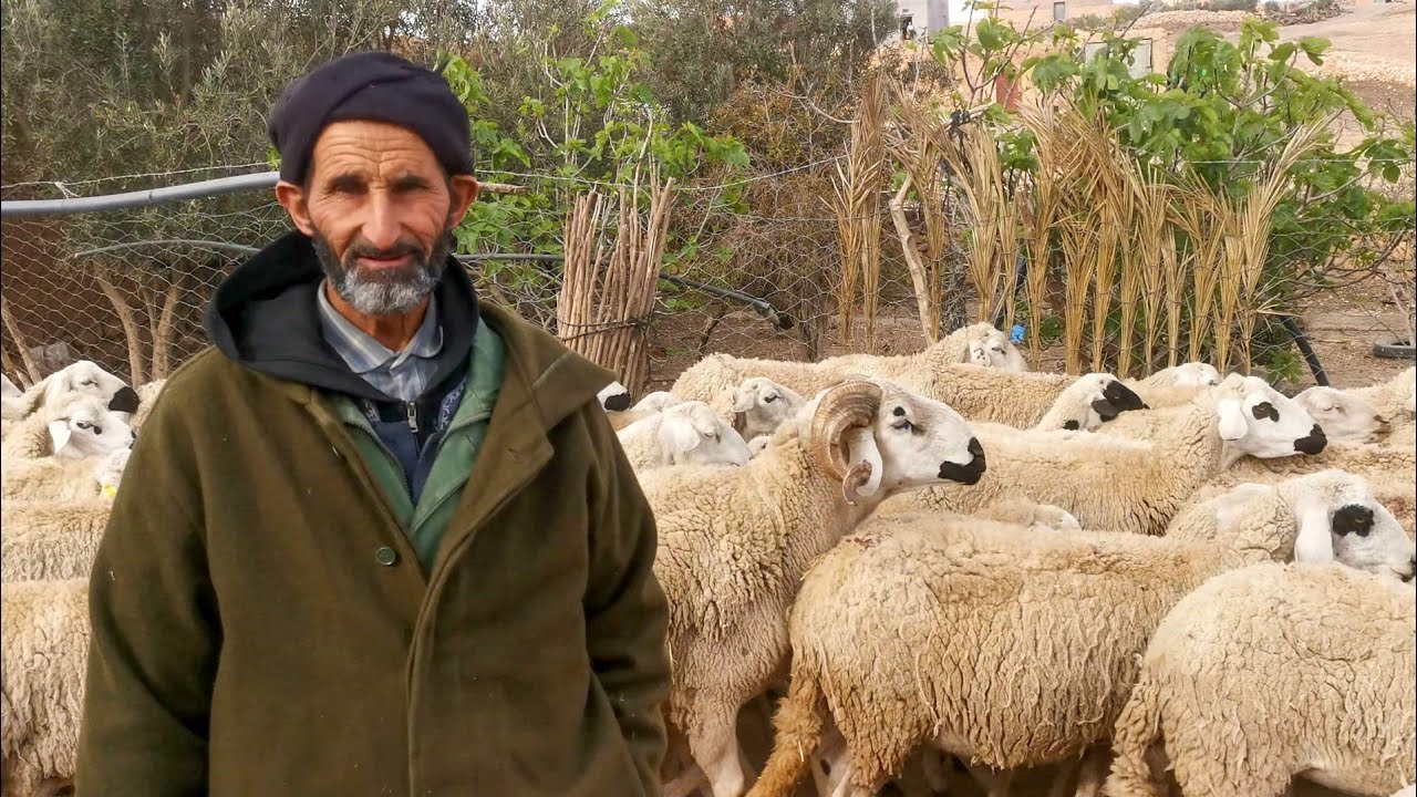 معانات الكساب البسيط مع الجفاف في دوار الفوارع اقليم اليوسفية (part1)