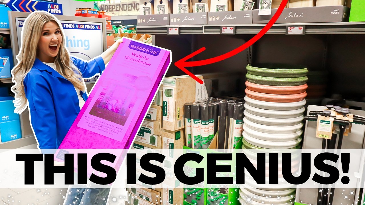 Aldi's Best Kept Secrets that BEAT Walmart and Amazon