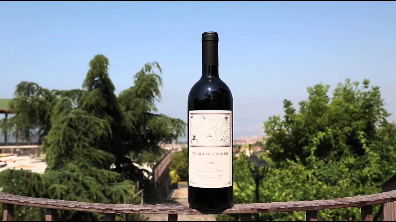 DocuWine | Terra di lavoro - Galardi