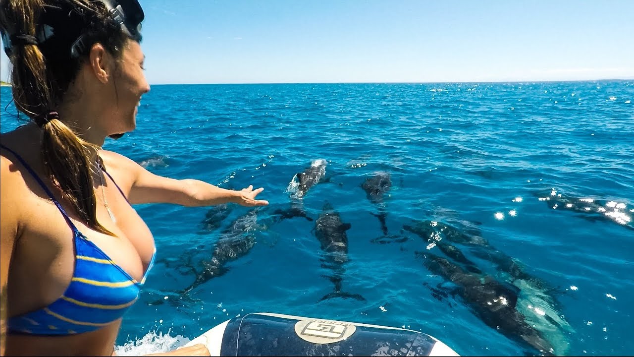 Dolphins Everywhere! We are the Dolphin Kings!! Sailing Nandji, Ep 47