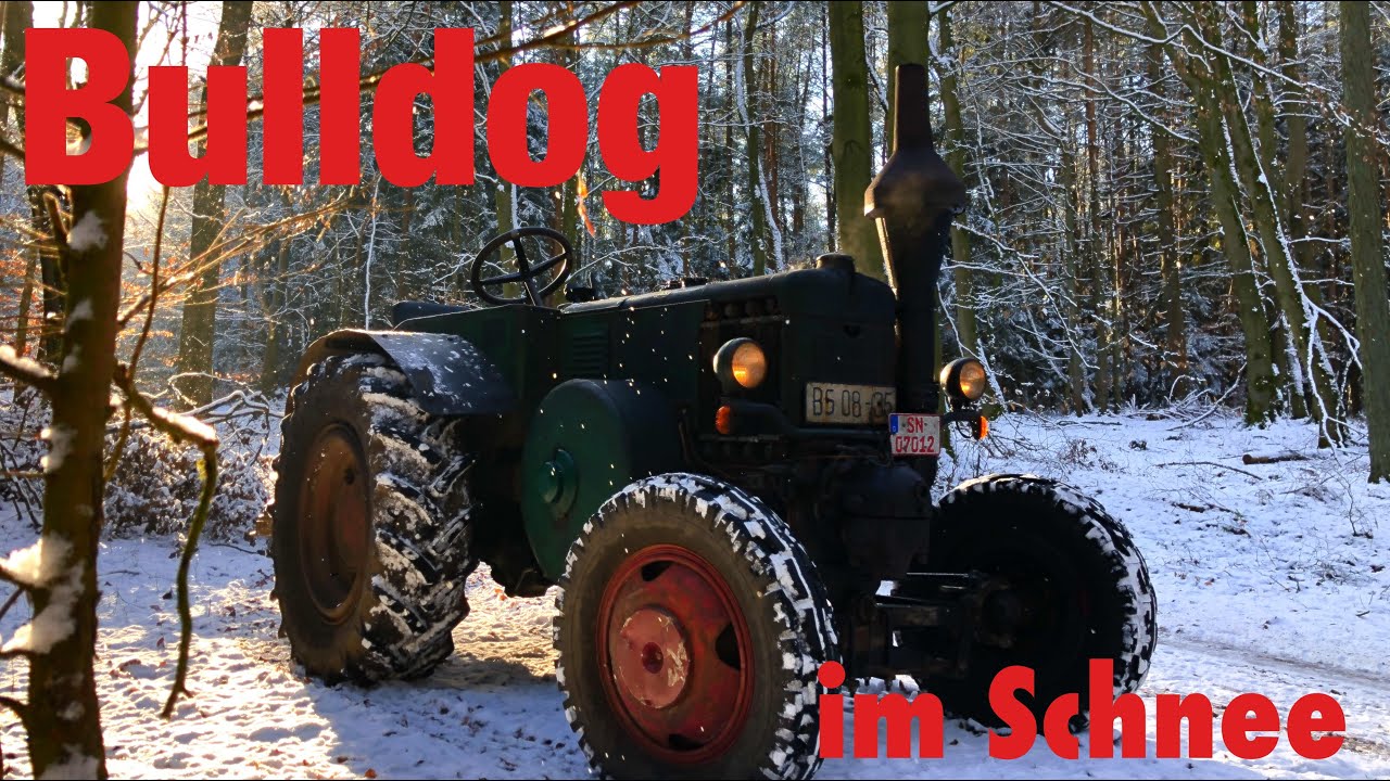 Ein Lanz Bulldog im Winterwald