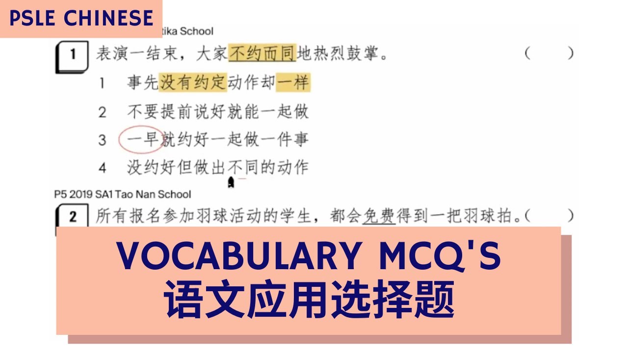 Master PSLE Chinese Vocabulary MCQ's 词汇语文应用选择题 (TTA PSLE Chinese Ep 9)