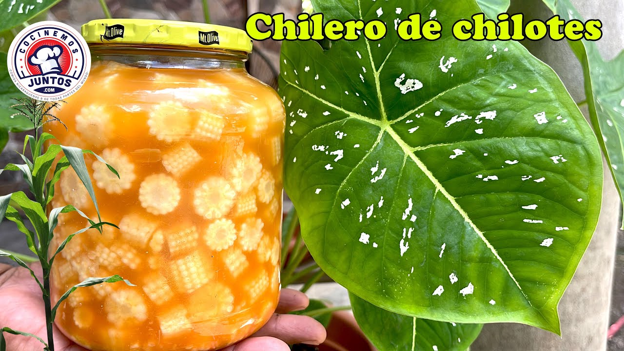 Como hacer un chilero con chilotes