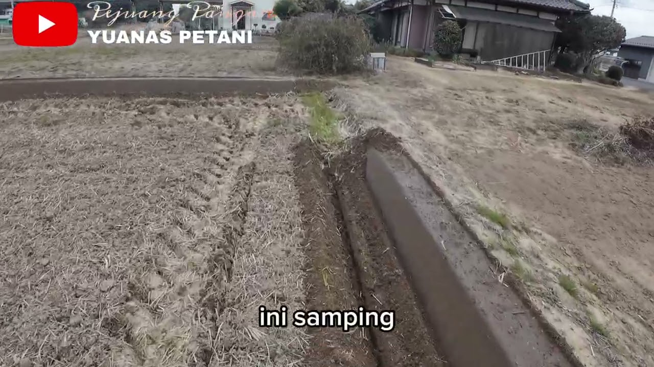 PEMOPOKAN PEMATANG/BATAS DI SAWAH JEPANG🌾🌾🌾