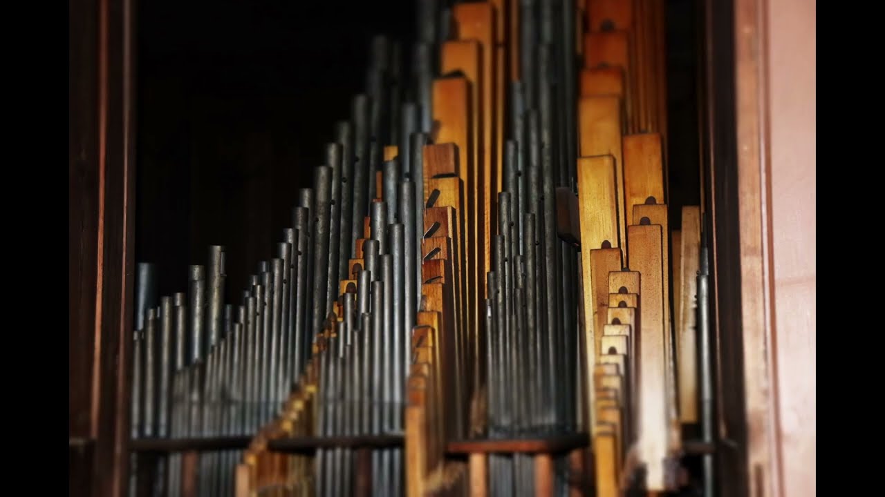 Gordon Young - Jubilate