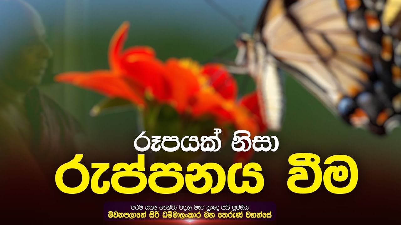 රූපයක් නිසා රුප්පනය වීම | මීවනපලානේ සිරි ධම්මාලංකාර මහා ප්‍රාඥයාණන් වහන්සේ | Damtharana