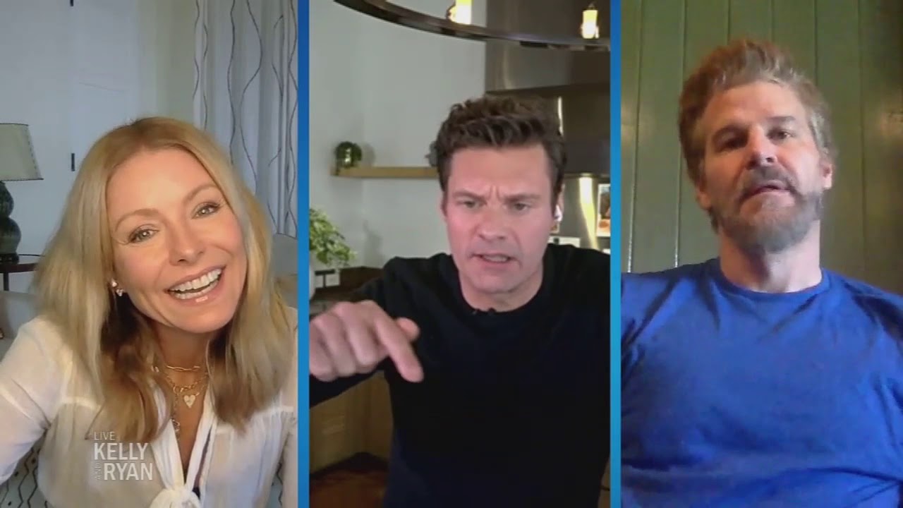 David Boreanaz Talks About Virtual USO Tour and 