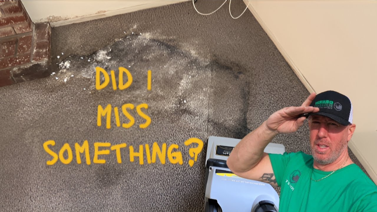 Did NOT expect this!! Can I save this carpet?