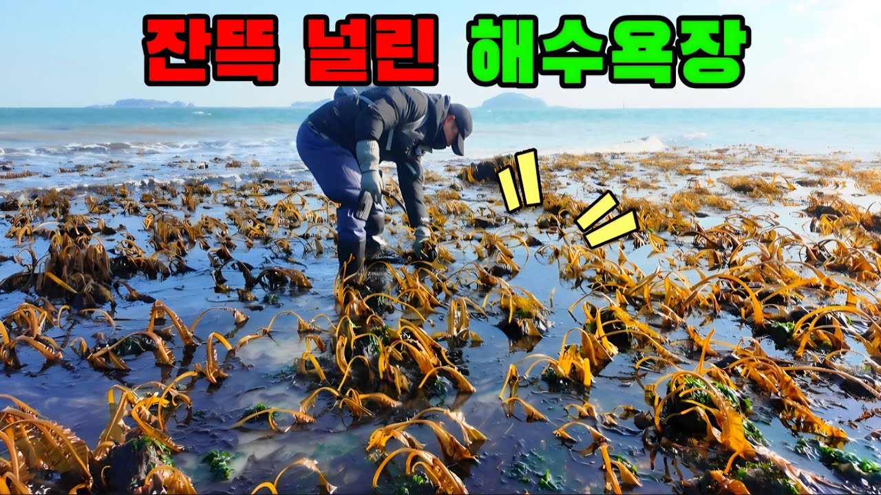 유명 해수욕장 갔다가 돈 잔뜩 벌었습니다