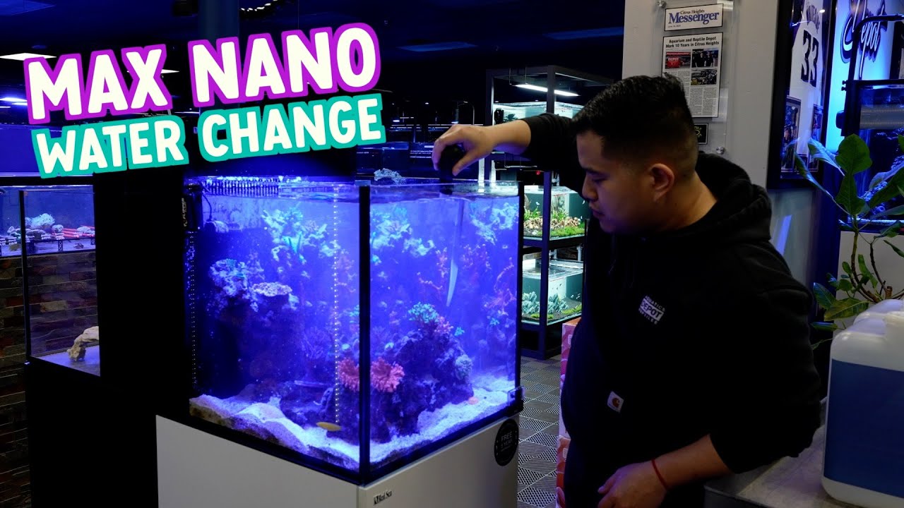 RED SEA MAX NANO PROGRESS UPDATE | HOW TO DO WATER CHANGE FOR RED SEA MAX NANO OR SALTWATER TANK