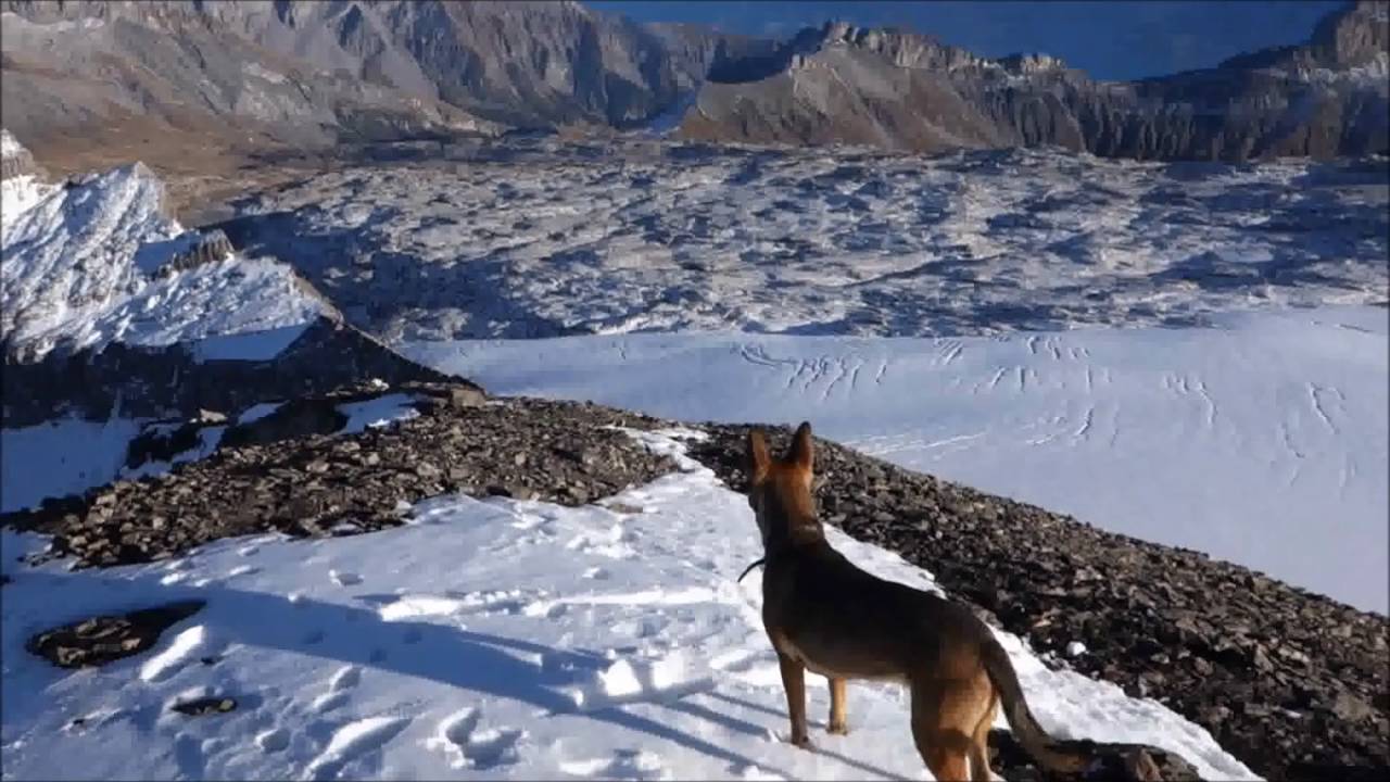 360 view of 12 summits 3000m in the Valais(and borders) region, Swiss Alps, 2015