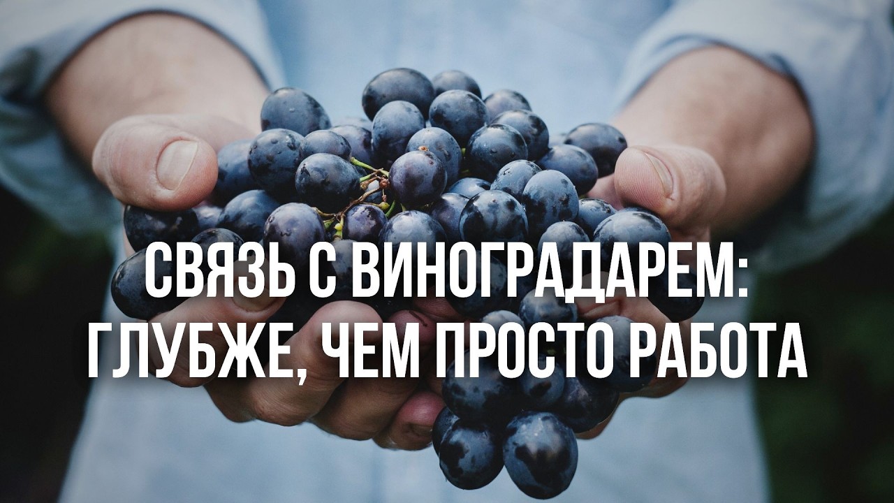Короткая проповедь - Связь с Виноградарем: Глубже, чем просто работа |Олий Вадим| 01.02.2026
